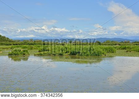 The Wetlands Of Isola Della Cona In Friuli-venezia Giulia, North East Italy