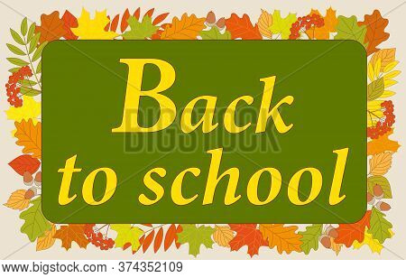 Slogan Back To School On The Green Chalkboard And Colorful Autumn Foliage Background. Vector Illustr