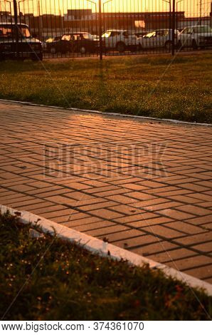 Dew On The Green Grass At Dawn. Selective Focus, Paving Slabs In The Park Through The Meadow, Vertic