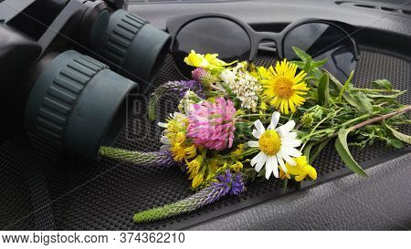 Binoculars, Eyeglasses And A Bouquet Of Wildflowers. Travelling By Car. Holidays And Weekends In Nat