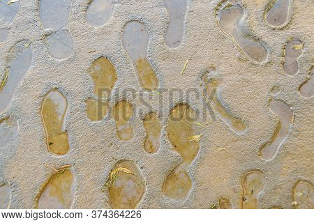 Footsteps Sculpture, Bicentennial Square, San Juan Argentina