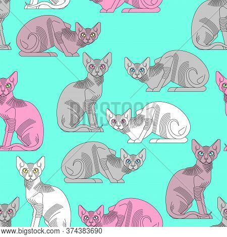 Sphynx Cat Pattern Seamless. Pet Background. Home Animal Texture. Vector Ornament