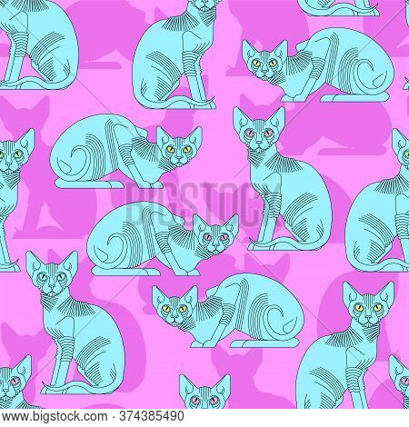 Sphynx Cat Pattern Seamless. Pet Background. Home Animal Texture. Vector Ornament