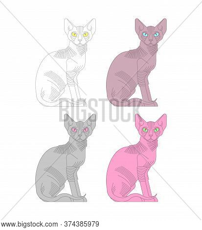 Sphynx Cat Set. Hairless Cat Breeds. Pet Vector Illustration