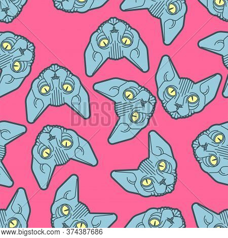 Sphynx Cat Pattern Seamless. Pet Background. Home Animal Texture. Vector Ornament