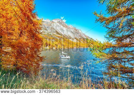 Picturesque Autumn Views Of Sils Lake (silsersee) With Small White Yacht. Colorful Autumn Scene Of S