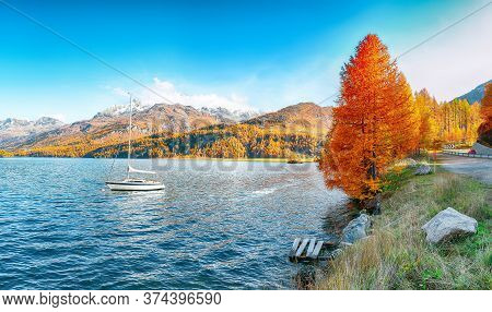 Picturesque Autumn Views Of Sils Lake (silsersee) With Small White Yacht. Colorful Autumn Scene Of S