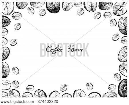 Illustration Frame Of Hand Drawn Sketch Of Assorted Roasted Coffee Beans Isolated On White Backgroun
