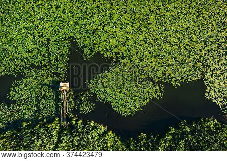Top View Of The Svisloch River In The Citys Loshitsa Park With Lilies At Sunset.beautiful Nature Of 
