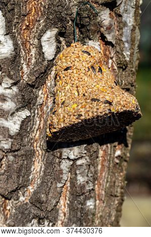 Bell From Various Grains, A Delicacy For All The Birds In The Garden