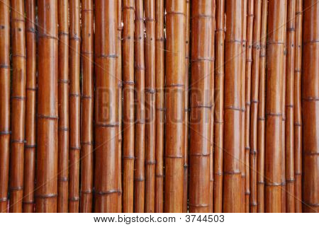 Bamboo tausta