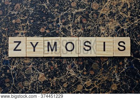 Word Zymosis From Wooden Letters In Black Font On A Brown Shabby Wall With A Pattern
