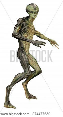 3D Rendering Green Alien On White