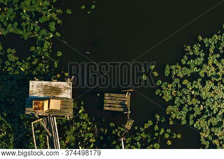 Top View Of The Svisloch River In The Citys Loshitsa Park With Lilies At Sunset.beautiful Nature Of 