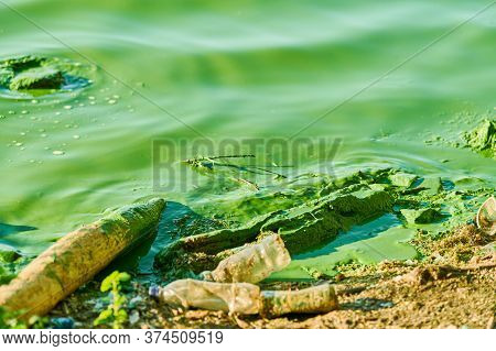 Environmental Water Pollution. Polluted River - Dirty Green Water, Garbage, Waste And Trash. Harmful