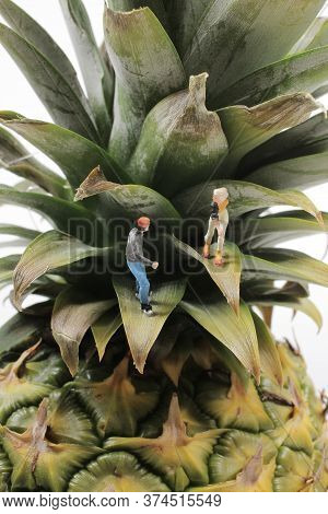 The Mini Figure Roller Skating On The Pineapple