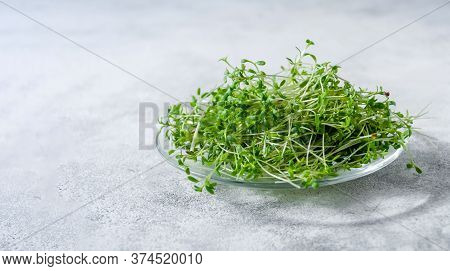 Close Up Watercress Microgreens In Little Plate On Light Background