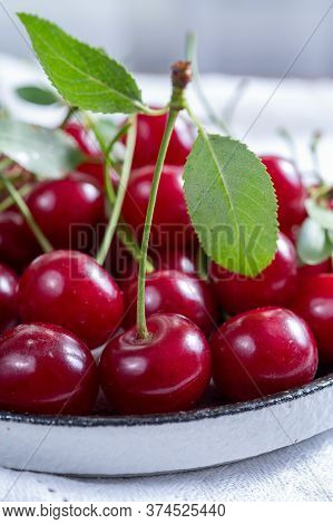 New Harvest Of Red Ripe Juicy Sour Cherry Or Kriek Berry