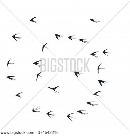 Flying Martlet Birds Silhouettes Vector Illustration. Nomadic Martlets School Isolated On White. Soa