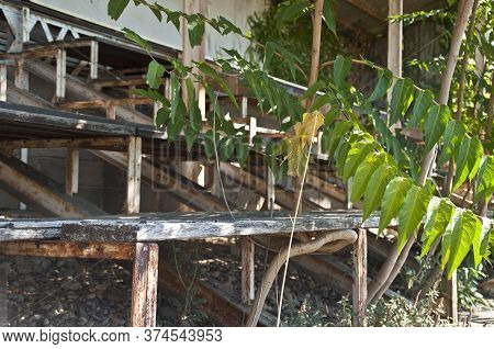 Nature Is Taken Over The Main Stand Of The Demolished Stade De La Palla Football Stadium In Valence,
