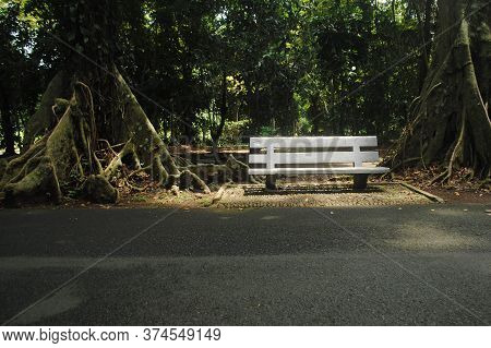 Bench In The Botanical Garden Park, Bogor Indonesia