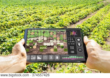 Smart Farming Digital Technology Agriculture App At Farm