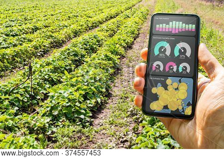 Smart Farming Digital Technology Agriculture App At Farm