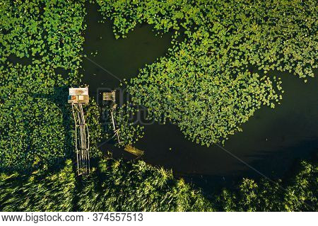 Top View Of The Svisloch River In The Citys Loshitsa Park With Lilies At Sunset.beautiful Nature Of 