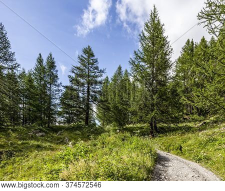 Footpath In Alps  In Claree Valley In Hautes Alpes, Nevache, France.