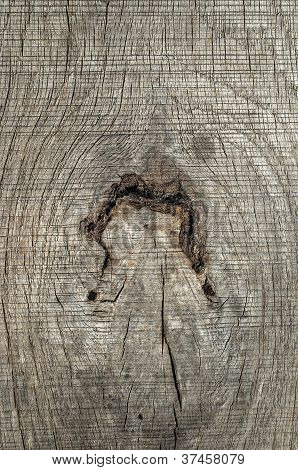 Knar weathered board in legno vecchio