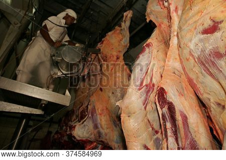 Eunapolis, Bahia / Bahia - Setembro 1, 2010: Slaughterhouse Employee Is Seen Doing Meat Processing O