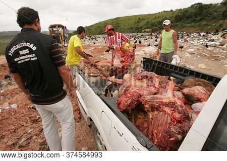 Eunapolis, Bahia / Brazil - Setembro 10, 2010: Sanitary Surveillance Inspectors Discard Bollina Meat