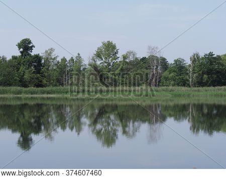 Thicket Reflected In Waters Of Artificial Breeding Pond In European Goczalkowice Town At Silesian Di