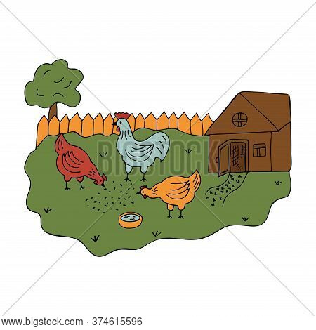 Courtyard In The Village With Walking Hens And A Cock. Colorful Vector Illustration In Cartoon Style
