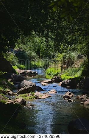 Fresh, Rocky Creek In The Forest Near Potrero De Los Funes, San Luis, Argentina.