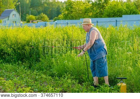 An Elderly Man In A Hat Sprays An Insecticide On The Tops Of Potatoes. The Fight Against The Colorad