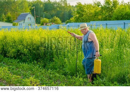 An Elderly Man In A Hat Sprays An Insecticide On The Tops Of Potatoes. The Fight Against The Colorad