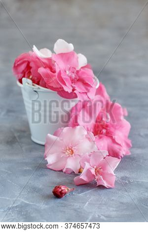 White Bucket Full Of Pink Flowers On A Grey Table Close Up