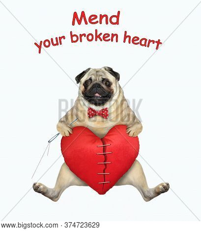 The Pug Dog In A Bow Tie With A Needle And Sewing Thread Is Mending In A Big Red Split Heart. Mend Y