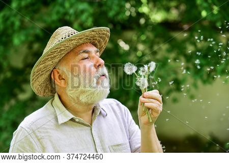 Tranquility And Serenity. Harmony Of Soul. Elderly Man In Straw Summer Hat. Lonely Grandpa Blowing D