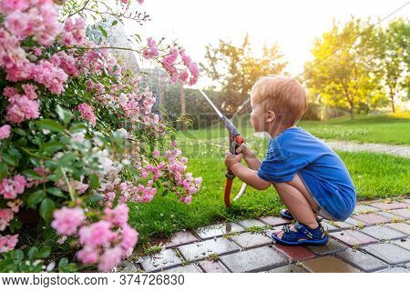 Cute Adorable Caucasian Blond Toddler Boy Enjoy Having Fun Watering Garden Flower And Lawn With Hose