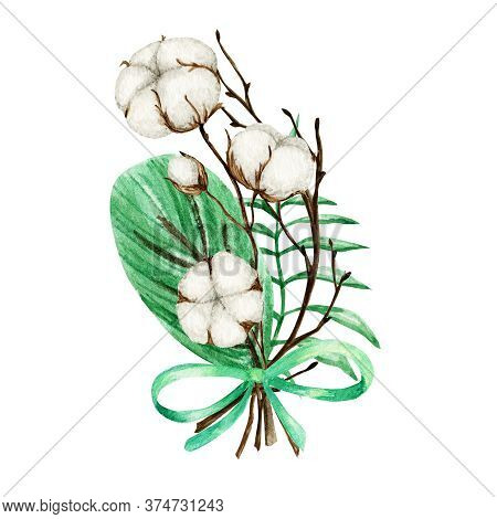 Watercolor Cotton Bouquet. Botanical Hand Drawn Eco Wedding Card Illustration. Cotton Flowers Buds B