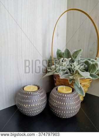 Plant Woolly Stachys With Soft Fluffy Leaves In A Wicker Basket With Two Shaffron Candles On A Light