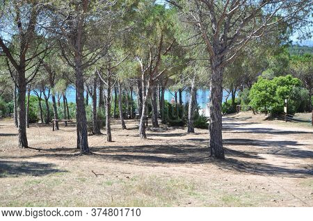 A Panoramic View Of Lu Impostu Beach, Sardinia, Italy