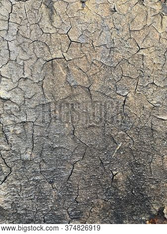 Photographs Of Various Textures For Backgrounds