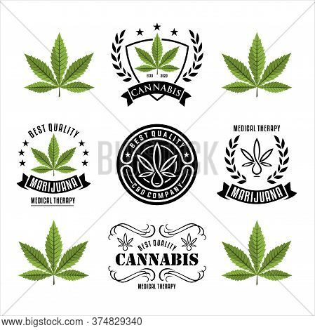 Vintage Marijuana Cannabis Hemp Pot Leaf Thc Cbd Logo Design