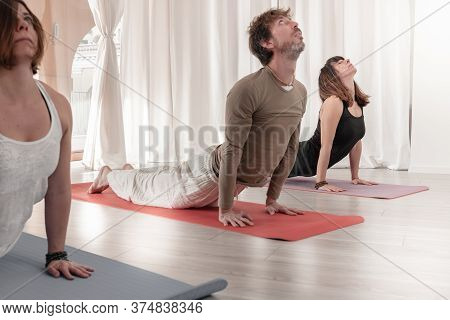 Group Of People Practicing Yoga. Adho Mukha Shvanasana. Dog Pose. Sun Salutation Or Surya Namaskar