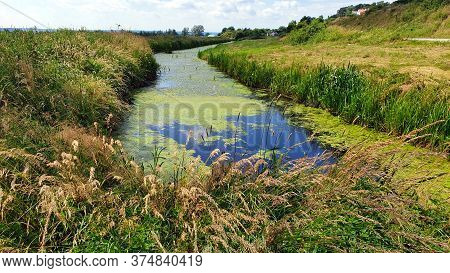 Boggy Areas In The Beka Reserve, Poland