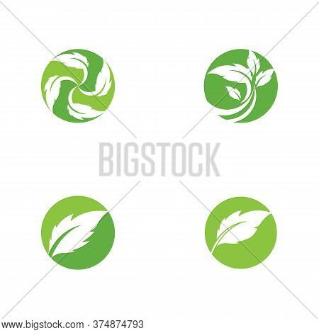 Set Leaf  Ecology Logo Template