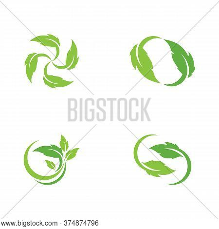 Set Leaf  Ecology Logo Template